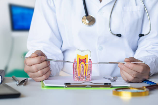 Best Emergency Gum Treatment in Cape St Claire, MD